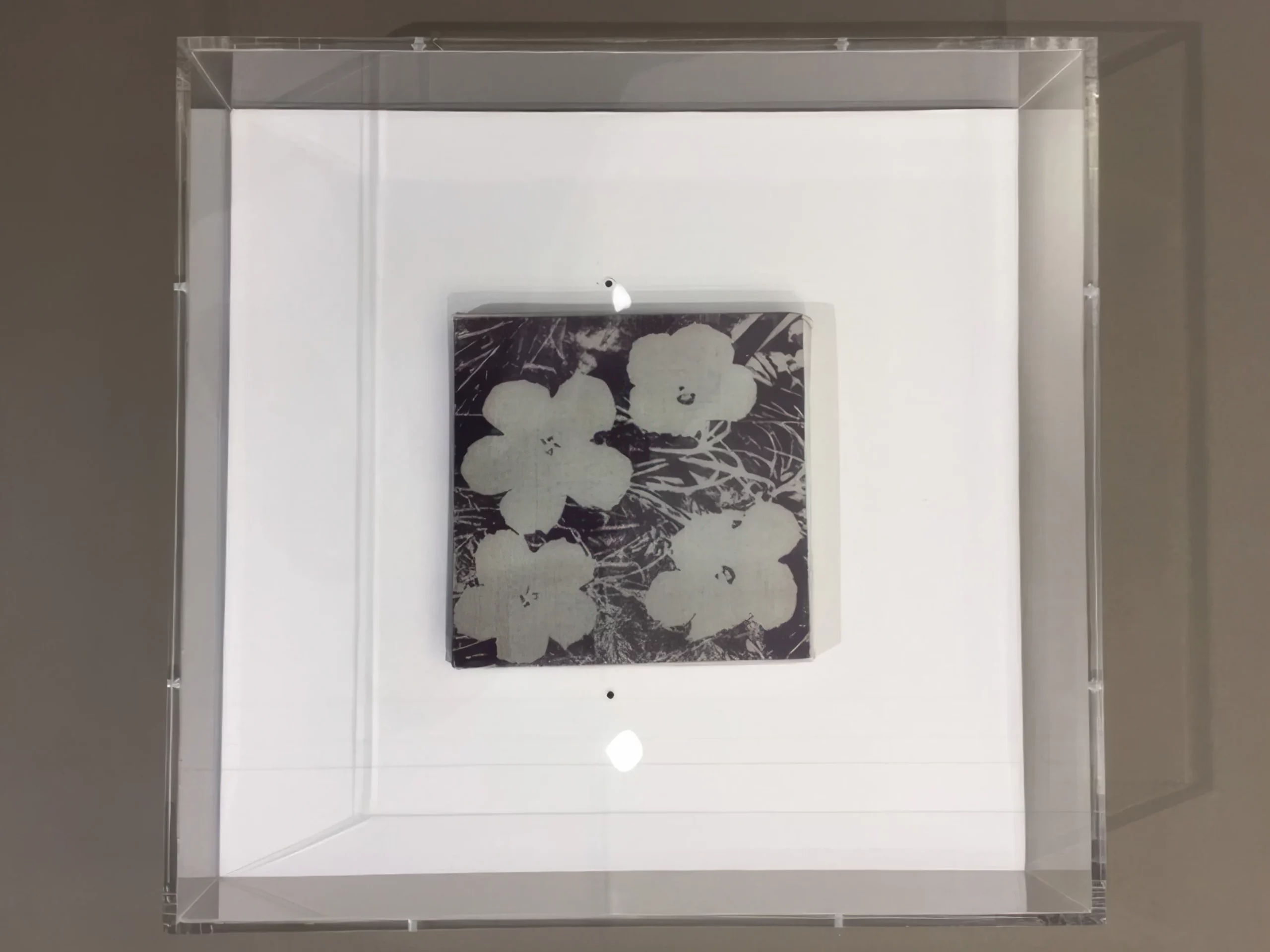 519FE269-D3B8-41B5-80AD-A04EC90A5415_1_105_c-high fidelity v2-4x-light